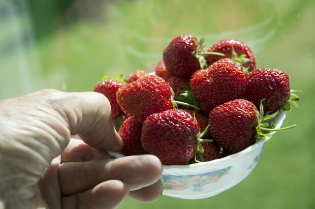 Россиянам назвали минимальную цену клубники