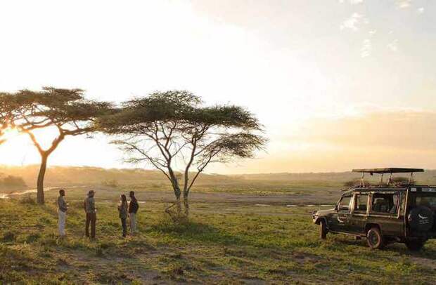 serengeti