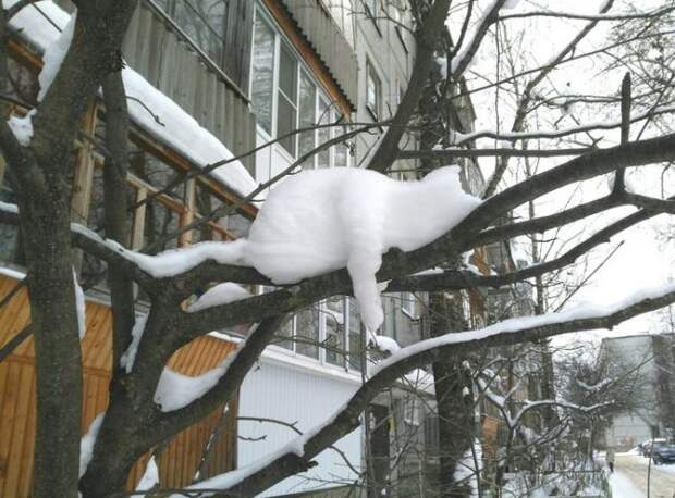 Показалось