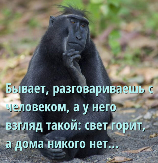 Анекдоты в картинках
