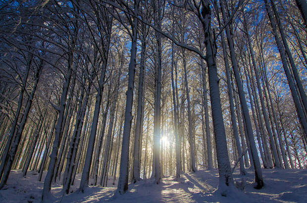 Великолепные снежные пейзажи Gorgeous Winter Landscapes 16 Великолепные снежные пейзажи