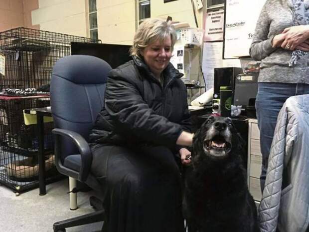 В Пенсильвании семья нашла свою собаку спустя 10 лет после ее пропажи