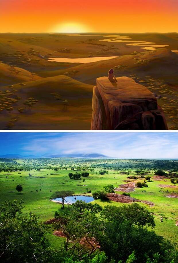 Саванну, где жил Симба, перенесли из реальности. /Фото: factroom.ru