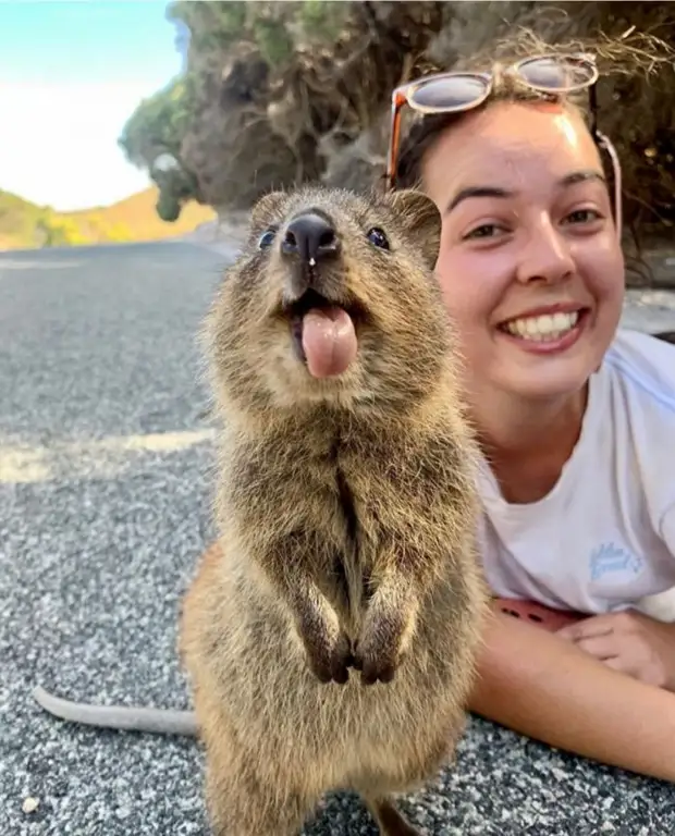 Позитив и юмор в смешных фотографиях