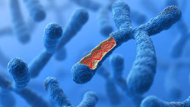 «Повышает шанс рождения здорового ребёнка»: генетик — о современной медицине и скрытых хромосомных аномалиях