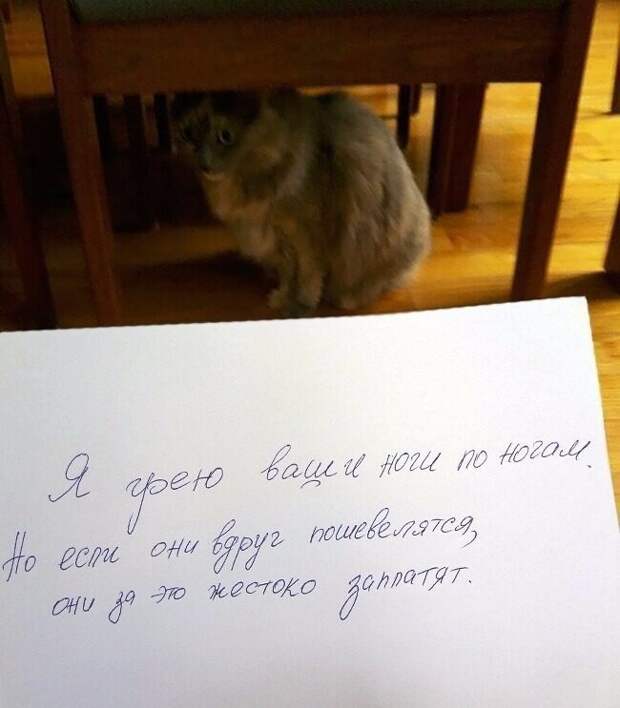 Не угроза, а просто предупреждение Не угроза, а просто предупреждение