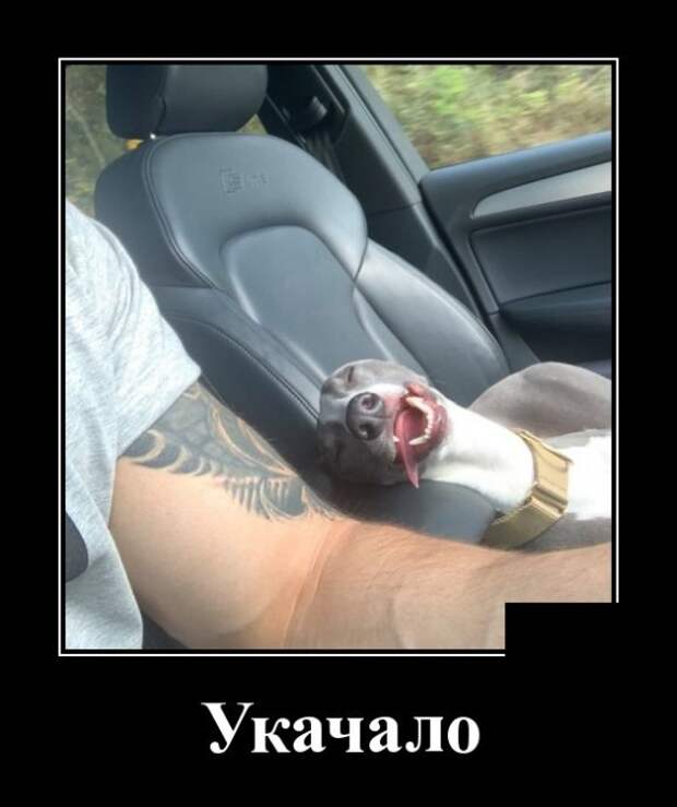Демотиваторы (30 фото)