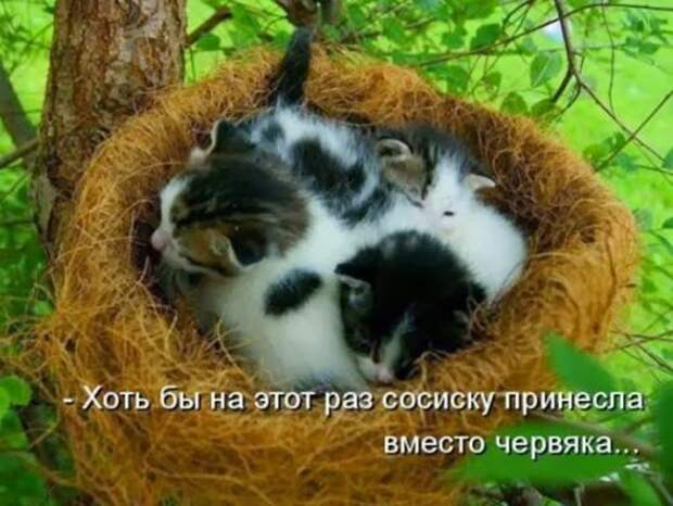2a26b689a8ee695051183e52ba7_prev