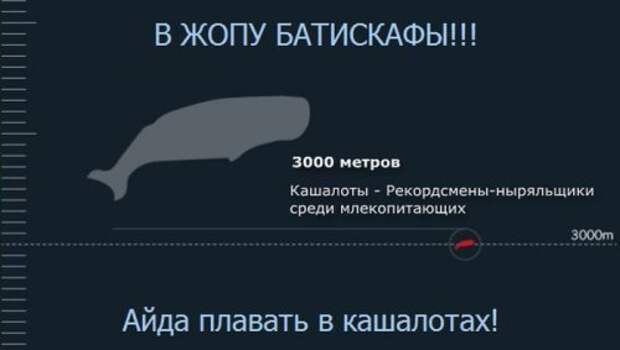 Пятничный позитив в картинках и фото (34 шт)