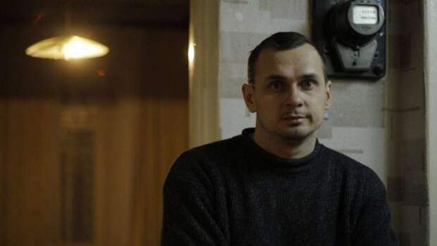 Сенцов прокомментировал поведение Зеленского в Золотом, но вшивым террористам слова не давали Сенцов прокомментировал поведение Зеленского в Золотом, но вшивым террористам слова не давали украина, сенцов, зеленский
