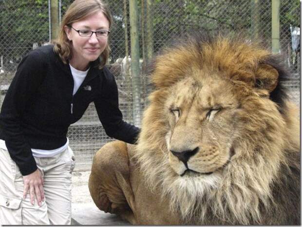 extreme-zoo_17_(funnypagenet.com)