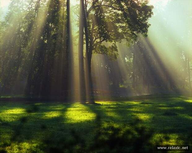 Andris_Eglitis_037 Andris_Eglitis_037