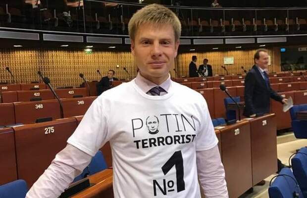 Это и есть Гончаренко. В стенах ассамблеи Совета Европы. Уровень интеллекта очевидно зашкаливает.