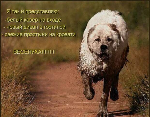 Мысли вслух :)