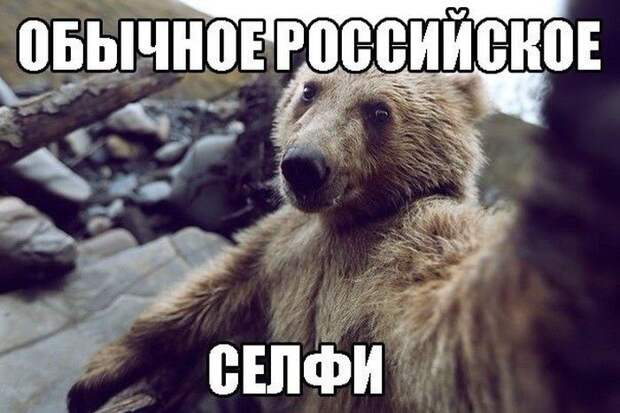 Картинки со смешными подписями