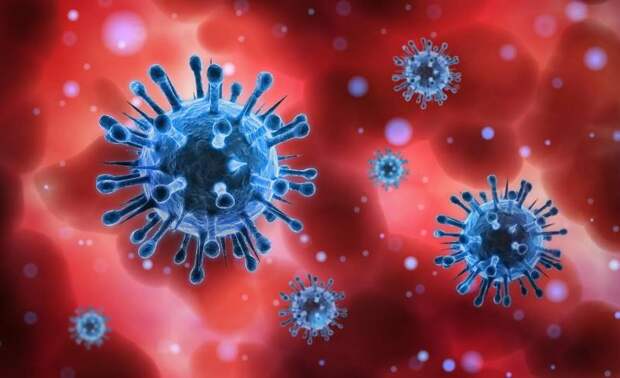 На весеннем фестивале в Германии выявили более 720 случаев норовирусной инфекции