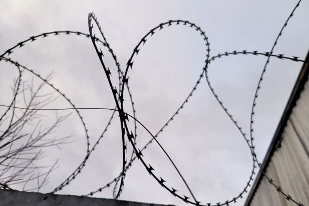 Раскрыто возможное наказание для похитителя школьницы в Смоленске