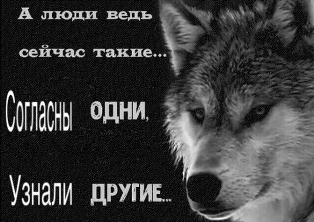 Нестандартный юмор :)