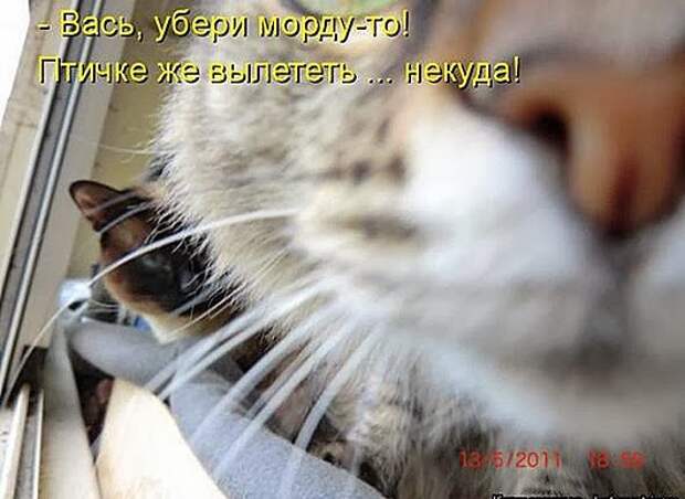d3669b985925df8146038f79338_prev