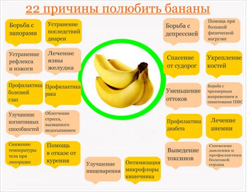 Интересные факты о бананах. Польза бананов: интересные факты о бананах
