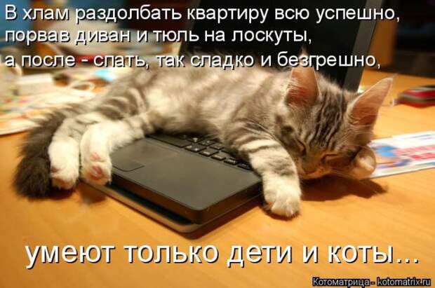 Лучшие котоматрицы недели (50 фото) Лучшие котоматрицы недели (50 фото)