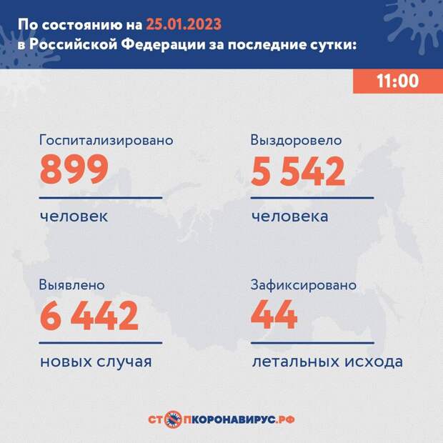 В России выявили 6442 новых случая коронавируса за сутки