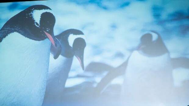 На Байкальский кинофестиваль «Человек и Природа» поступило 316 заявок из 30 стран мира