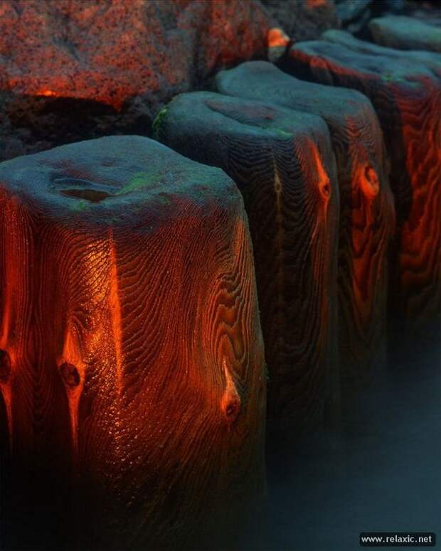 Andris_Eglitis_005 Andris_Eglitis_005