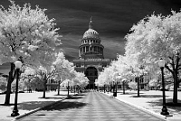 Инфракрасная фотография 19