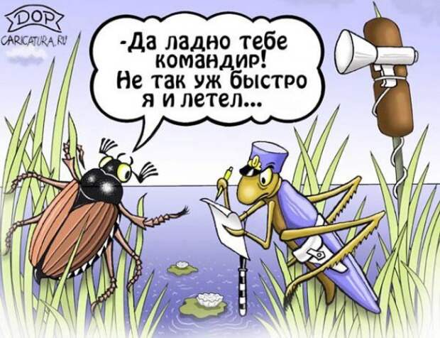 Юмор в картинках Юмор в картинках