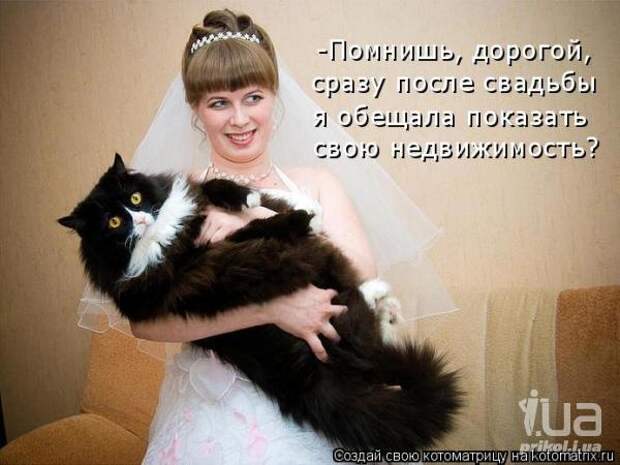 Моя недвижимость!!!