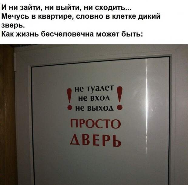 Рифмоплеты из социальных сетей просто в ударе! Рифмоплеты из социальных сетей просто в ударе!