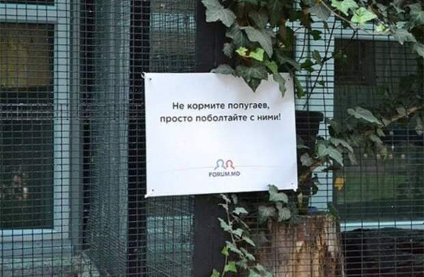 поговорить