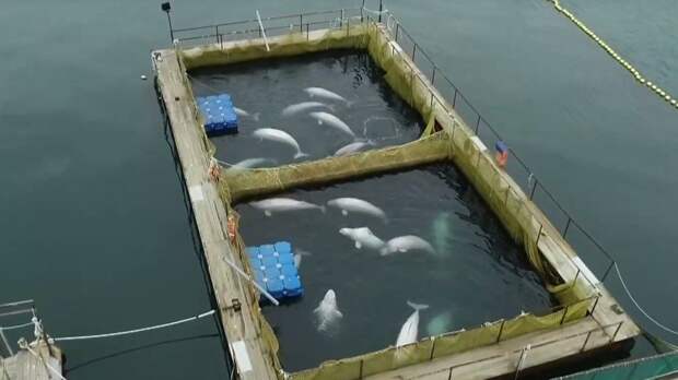 Уникальный опыт