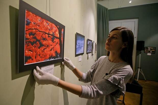 В Музее искусства народов Востока открылась выставка Хироси Мидзобути
