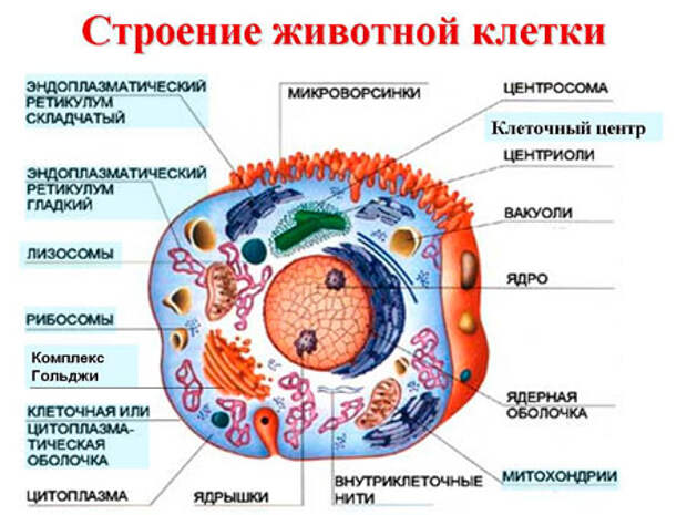 Перерыв на обед: как есть, учиться и играть одновременно