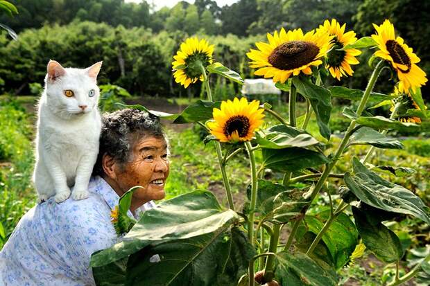 Японская бабушка Миса и её кот Фукумара