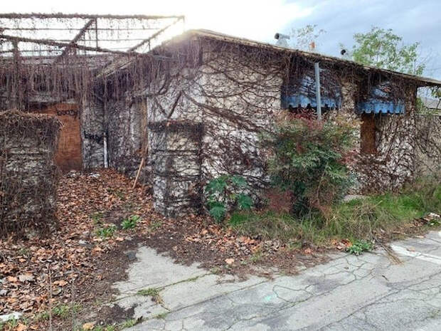 Сила природы в фотографиях