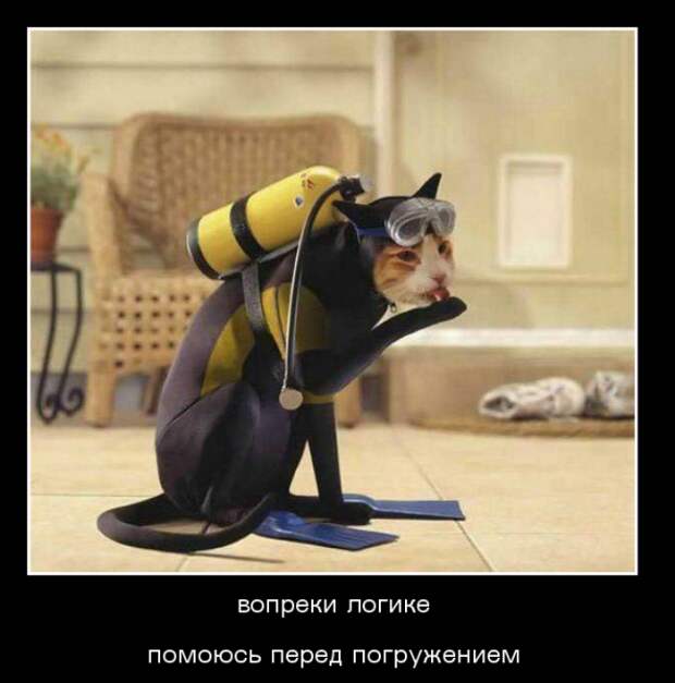 Подборка классных демотиваторов № 115