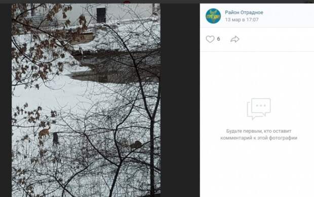 Фото: скриншот записи в сообществе «Район Отрадное» Вконтакте