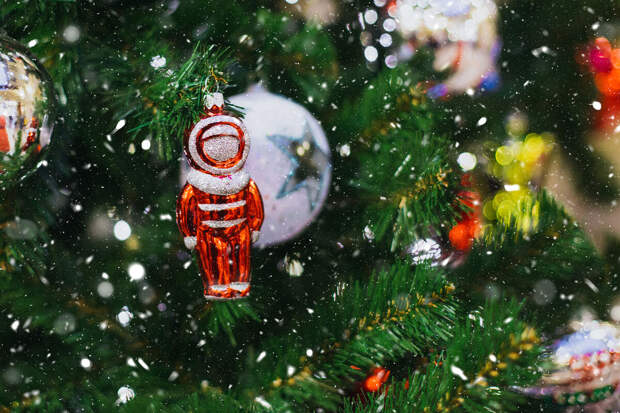 В России в рамках акции "Новый год в каждый дом" прошло более 95 тыс. мероприятий