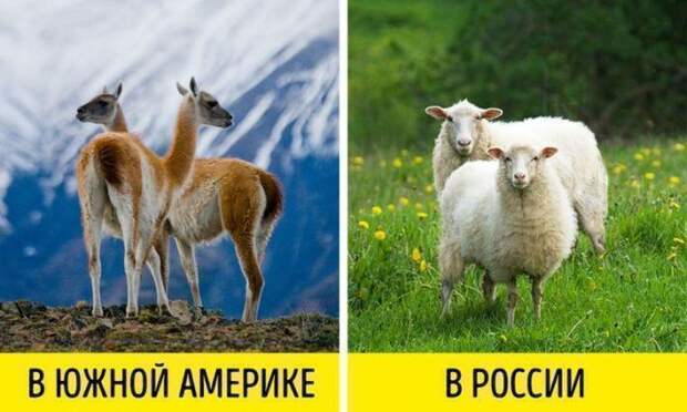 13 ответов на самые интересные "Почему?"