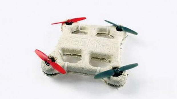 fungus-bacteria-wasp-drone.si