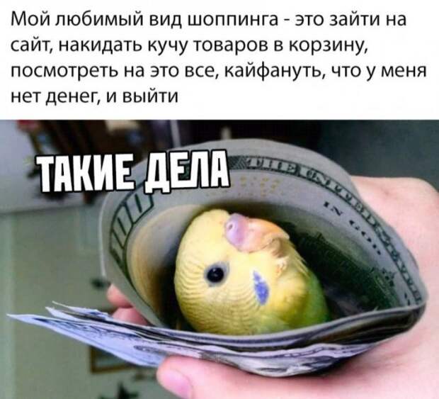 www.vsyako.net