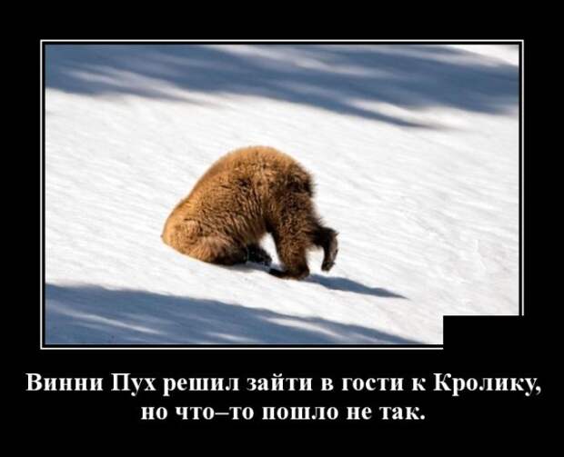 Демотиваторы (30 фото)