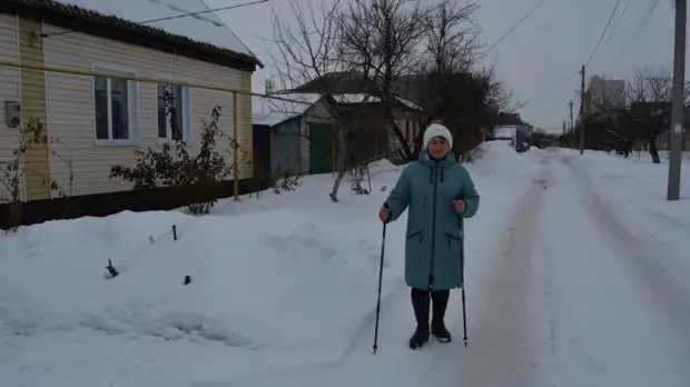 Иностранцы восхищаются воронежской пенсионеркой, которая спасла хаски из ледяной воды