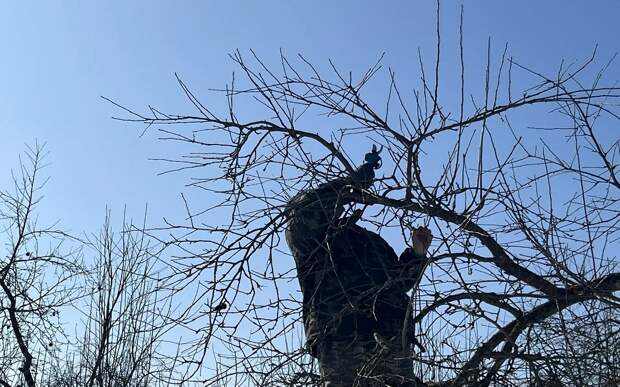 В Рязанской области огородный сезон может начаться позже из-за погоды