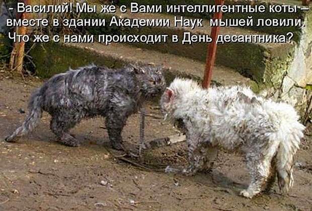 8db3da7cf1cc2956adaf92c93ac_prev