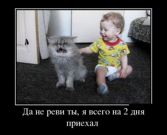 Немного демотиваторов с "бородой" демотиваторы, прикол, юмор