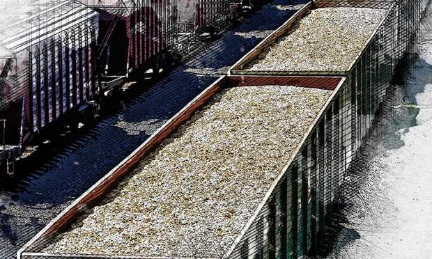 Орловская область проигрывает Курской по экспорту зерна